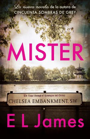 Mister / The Mister image number 0