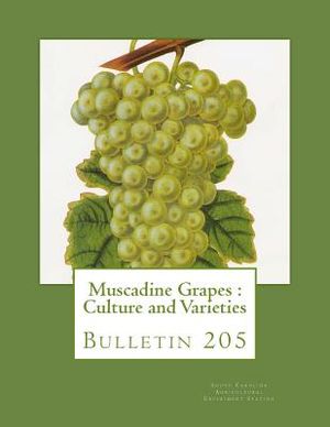 Muscadine Grapes: Culture and Varieties: Bulletin 205 image number 0