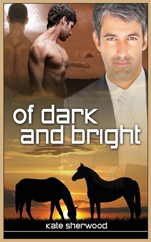Of Dark and Bright image number 0