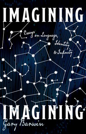 Imagining Imagining: Essays on Writing, Identity and Infinity image number 0