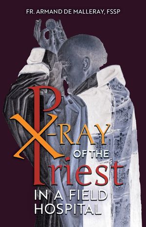 X-Ray of the Priest In a Field Hospital: Reflections on the Sacred Priesthood image number 0