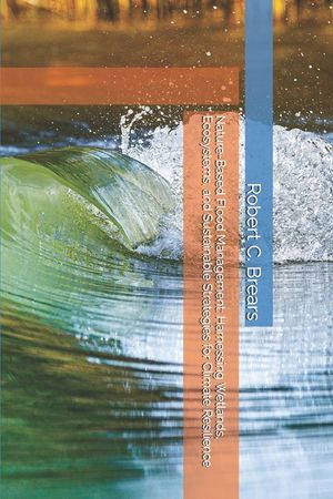 Nature-Based Flood Management: Harnessing Wetlands, Ecosystems, and Sustainable Strategies for Climate Resilience image number 0