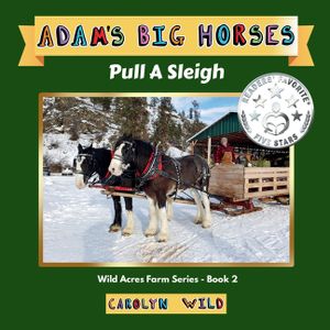 Adam's Big Horses: Pull A Sleigh image number 0