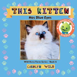 This Kitten: Has Blue Eyes image number 0