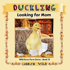 Duckling: Looking For Mom image number 0