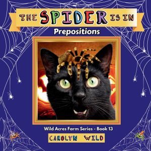 The Spider Is In: Prepositions image number 0