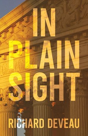 In Plain Sight image number 0