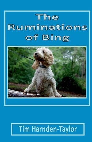 The Ruminations of Bing: Lines From My Forehead 3 image number 0