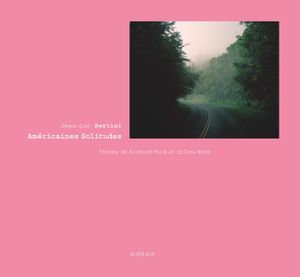 Jean-Luc Bertini: Am&eacute;ricaines Solitudes image number 0
