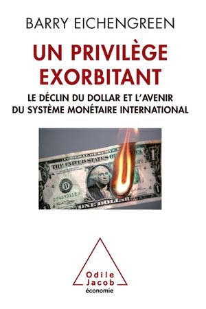 Un Privilege Exorbitant: Le Declin Du Dollar Et L'Avenir Du Systeme Monetaire International image number 0