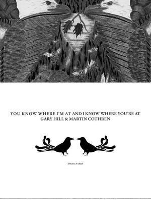 Gary Hill & Martin Cothren: You Know Where I'm at and I Know Where You're at image number 0