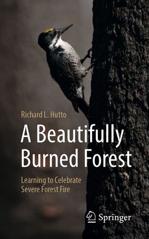 A Beautifully Burned Forest: Learning to Celebrate Severe Forest Fire image number 0