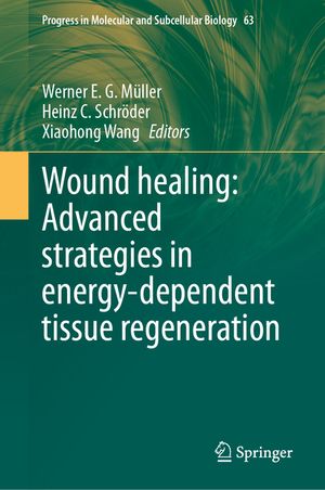 Wound Healing: Advanced Strategies in Energy-Dependent Tissue Regeneration image number 0