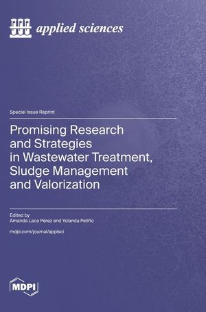 Promising Research and Strategies in Wastewater Treatment, Sludge Management and Valorization image number 0