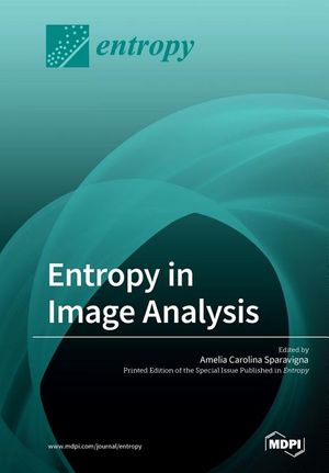 Entropy in Image Analysis image number 0