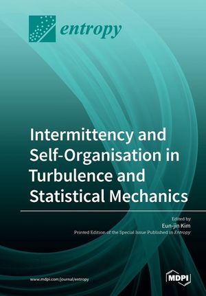 Intermittency and Self-Organisation in Turbulence and Statistical Mechanics image number 0