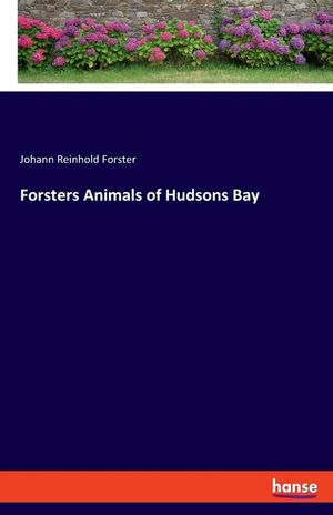 Forsters Animals of Hudsons Bay image number 0