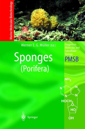 Sponges (Porifera) image number 0
