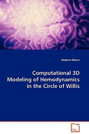 Computational 3D Modeling of Hemodynamics in the Circle of Willis image number 0