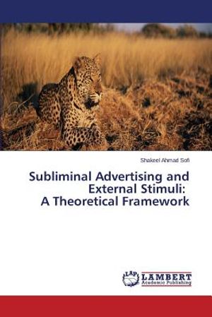 Subliminal Advertising and External Stimuli: A Theoretical Framework image number 0