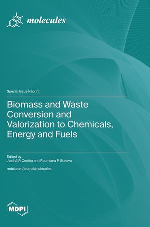 Biomass and Waste Conversion and Valorization to Chemicals, Energy and Fuels image number 0