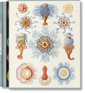The Art and Science of Ernst Haeckel image number 0