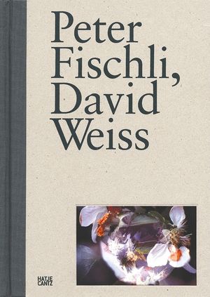 Peter Fischli, David Weiss image number 0