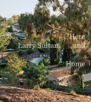 Larry Sultan: Here and Home image number 0
