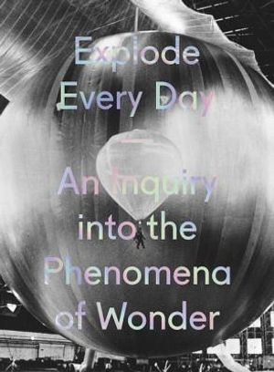 Explode Every Day: An Inquiry Into the Phenomena of Wonder image number 0