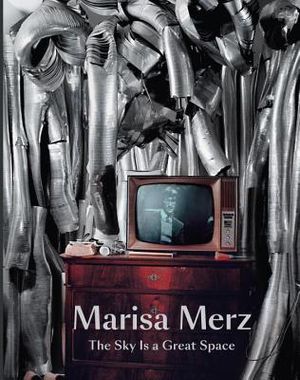 Marisa Merz: The Sky Is a Great Space image number 0