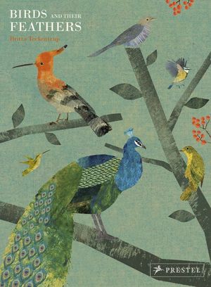 Birds and Their Feathers image number 0