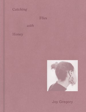 Joy Gregory: Catching Flies with Honey image number 0