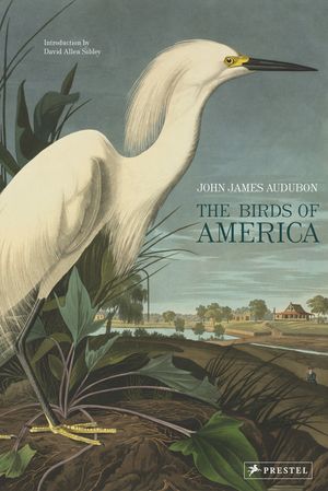 The Birds of America image number 0