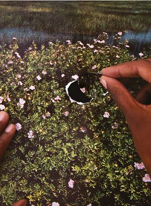 Re/Sisters: A Lens on Gender and Ecology image number 0