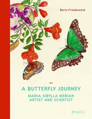 A Butterfly Journey: Maria Sibylla Merian. Artist and Scientist image number 0