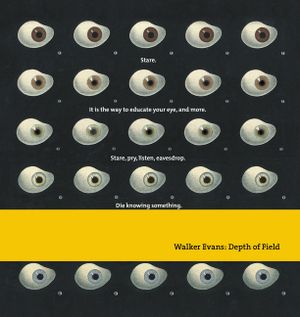 Walker Evans: Depth of Field image number 0