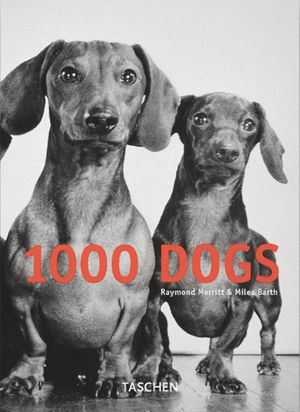 1000 Dogs image number 0