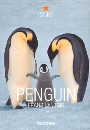 Penguin image number 0