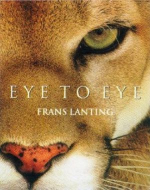 Eye to Eye image number 0