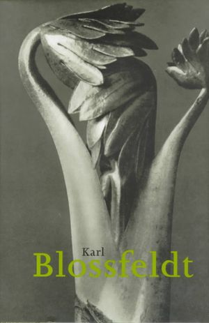 Karl Blossfeldt image number 0