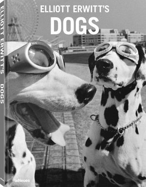 Elliott Erwitt's Dogs image number 0