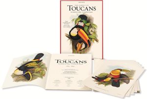 John Gould: The Family of Toucans image number 0