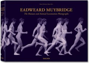 Eadweard Muybridge: The Human and Animal Locomotion Photographs image number 0