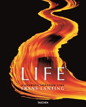 Frans Lanting: Life image number 0