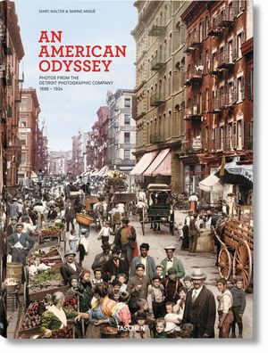 An American Odyssey image number 0