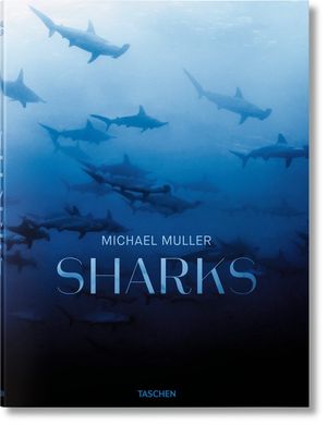 Michael Muller. Sharks image number 0