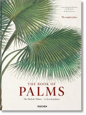 Martius. the Book of Palms image number 0