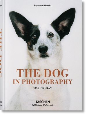 The Dog in Photography 1839-Today image number 0
