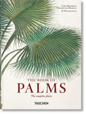 Martius. the Book of Palms. 40th Ed. image number 0