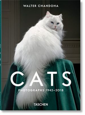 Walter Chandoha. Cats. Photographs 1942-2018 image number 0
